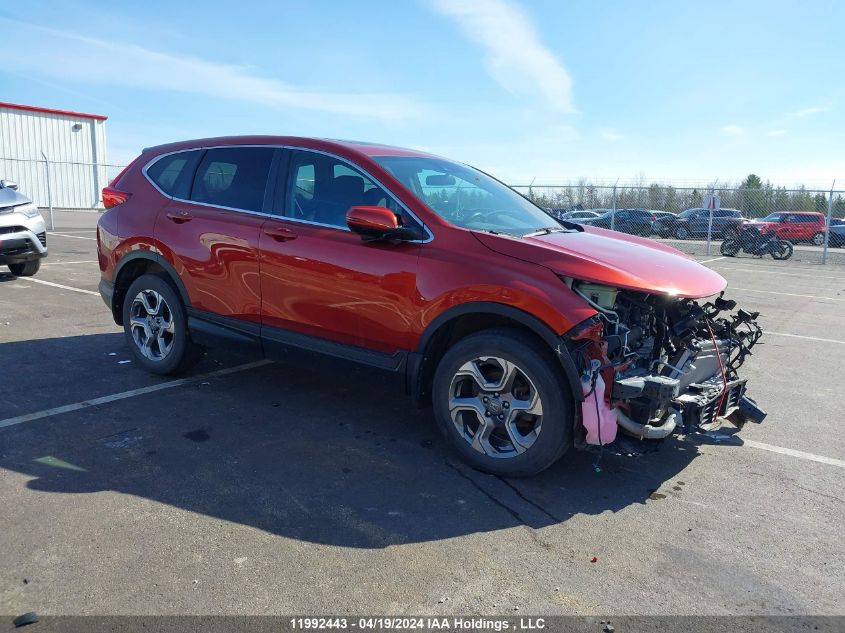 2019 Honda Cr-V VIN: 2HKRW2H59KH139177 Lot: 11992443