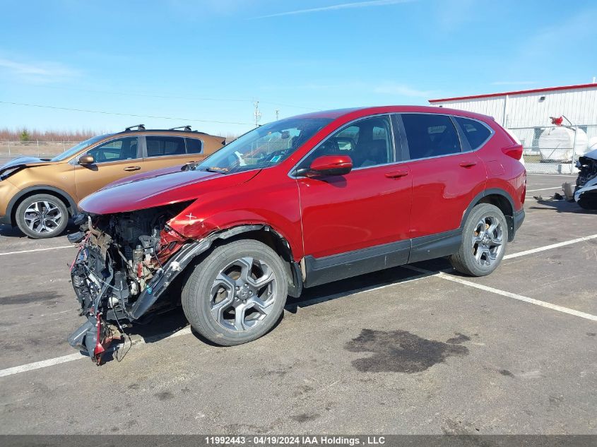 2019 Honda Cr-V VIN: 2HKRW2H59KH139177 Lot: 11992443