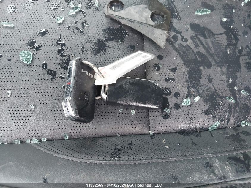 2024 Kia Seltos VIN: KNDEUCAA7R7515102 Lot: 11992565