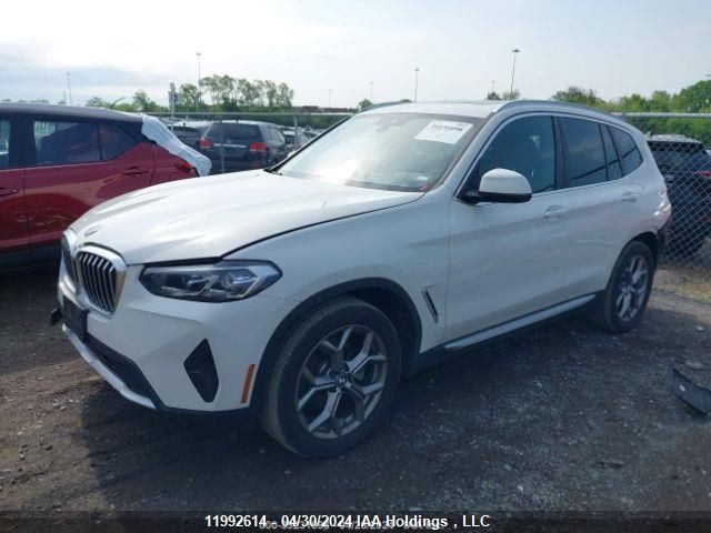 2023 BMW X3 VIN: 5UX53DP07P9R75495 Lot: 11992614