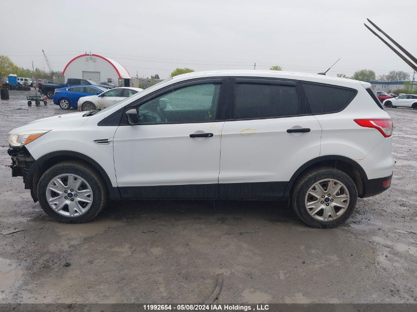 2013 Ford Escape VIN: 1FMCU0F72DUC00037 Lot: 11992654