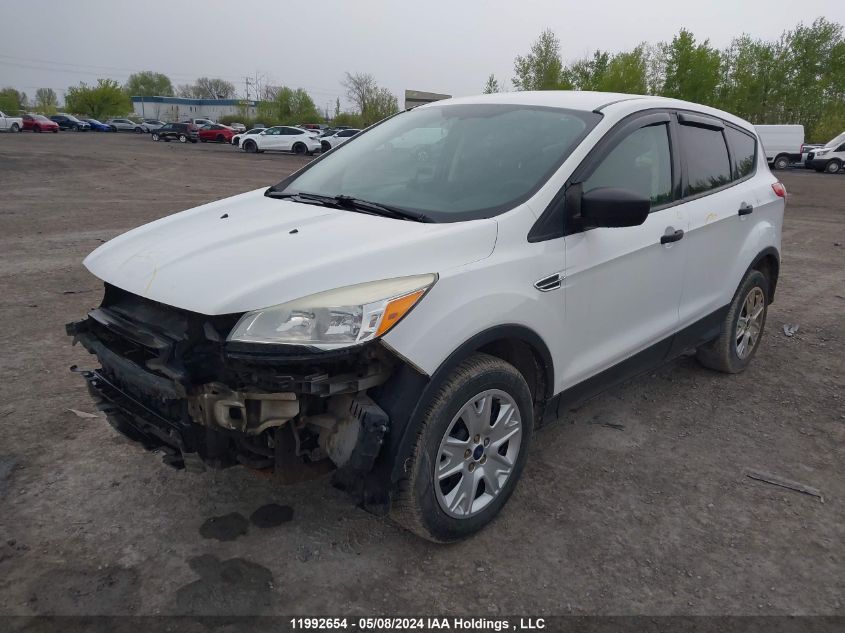 2013 Ford Escape VIN: 1FMCU0F72DUC00037 Lot: 11992654