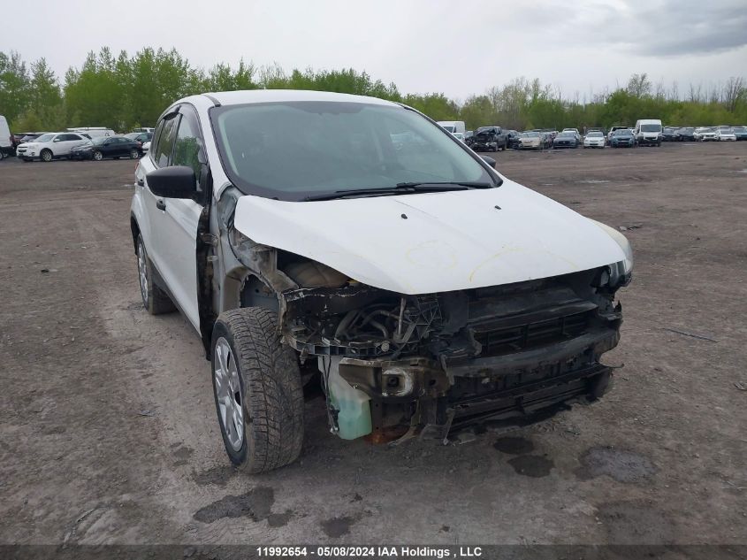 2013 Ford Escape VIN: 1FMCU0F72DUC00037 Lot: 11992654