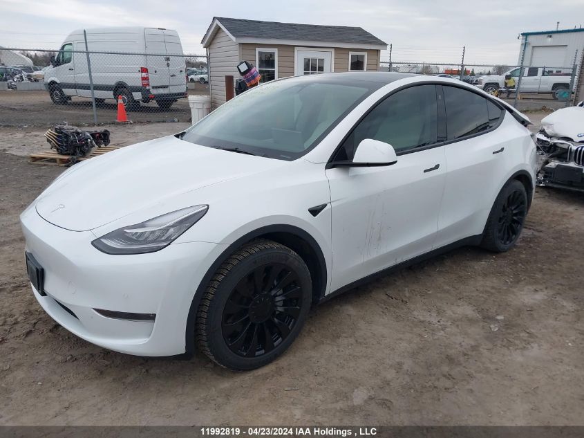 2022 Tesla Model Y VIN: 7SAYGAEE1NF339631 Lot: 11992819