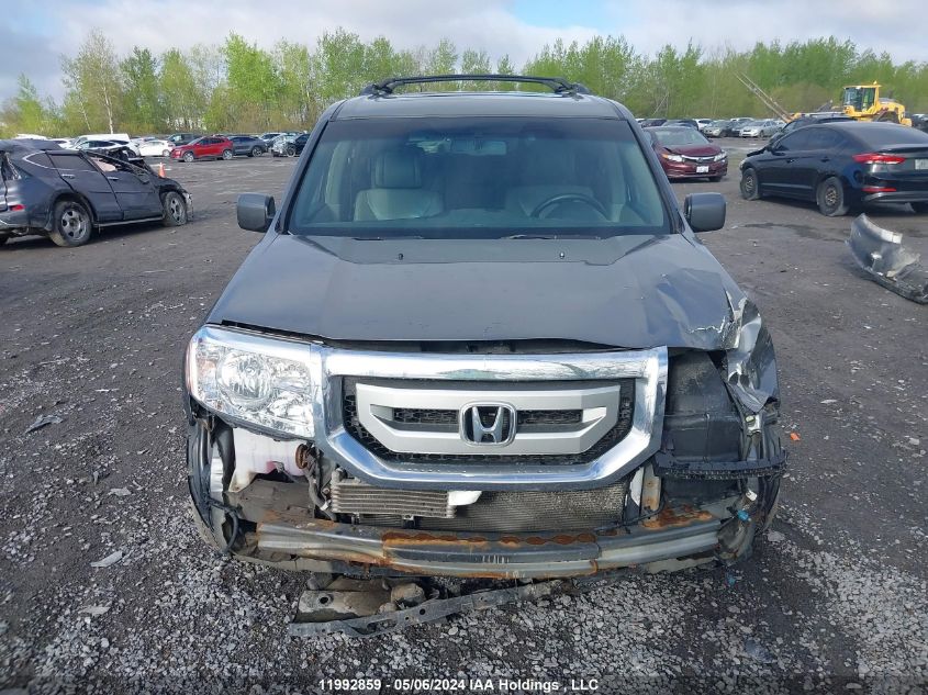 2009 Honda Pilot VIN: 5FNYF48579B501765 Lot: 11992859