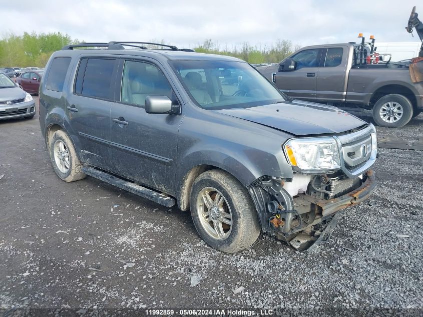 2009 Honda Pilot VIN: 5FNYF48579B501765 Lot: 11992859