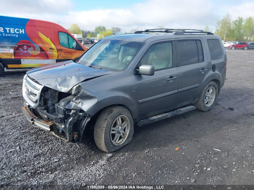 2009 Honda Pilot VIN: 5FNYF48579B501765 Lot: 11992859