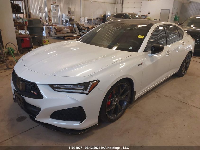 2023 Acura Tlx Type S Pmc Edition VIN: 19UUB7F06PA800027 Lot: 11992977