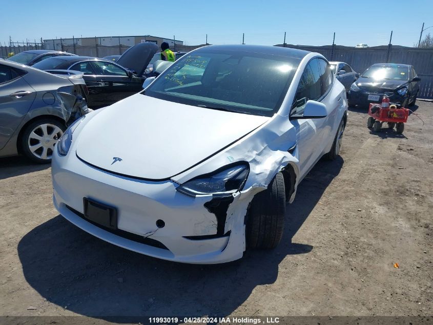 2023 Tesla Model Y VIN: LRWYGDFD8PC967770 Lot: 11993019