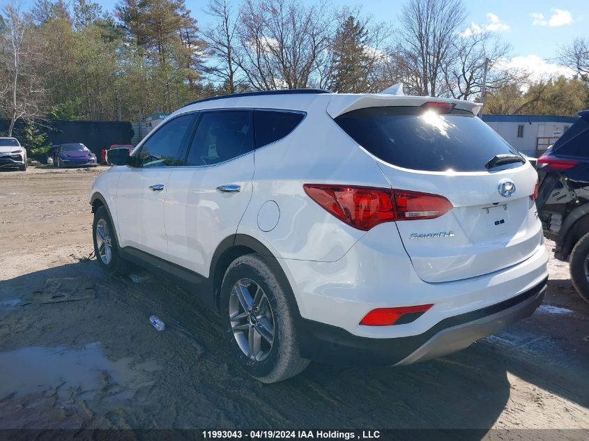 2017 Hyundai Santa Fe Sport VIN: 5XYZUDLB1HG415270 Lot: 11993043