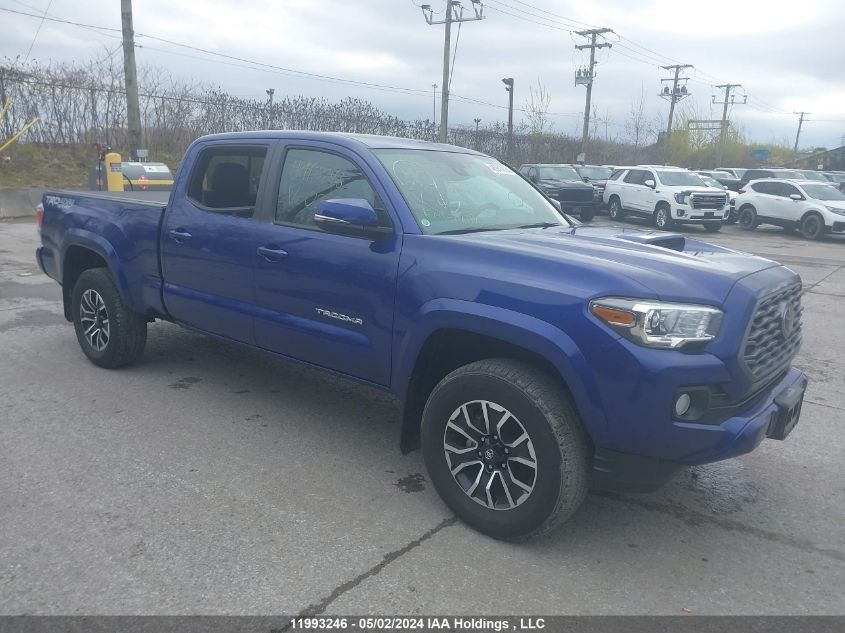 2023 Toyota Tacoma Double Cab/Sr5/Trd Sport/Trd Off Road VIN: 3TYDZ5BN4PT022852 Lot: 11993246