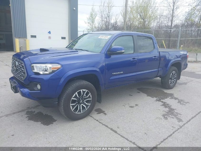 2023 Toyota Tacoma Double Cab/Sr5/Trd Sport/Trd Off Road VIN: 3TYDZ5BN4PT022852 Lot: 11993246