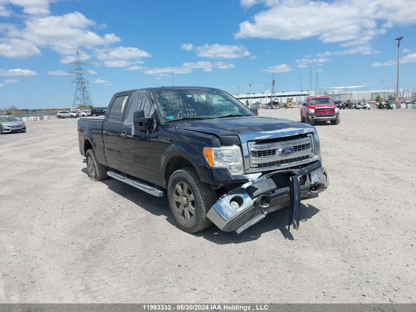 2014 Ford F-150 VIN: 1FTFW1EF9EFC54726 Lot: 11993333