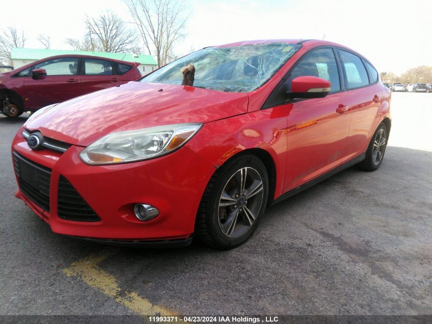 2014 Ford Focus Se VIN: 1FADP3K28EL342823 Lot: 11993371