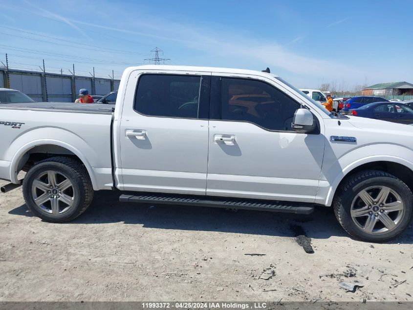 2019 Ford F-150 VIN: 1FTEW1EP3KFD47158 Lot: 11993372