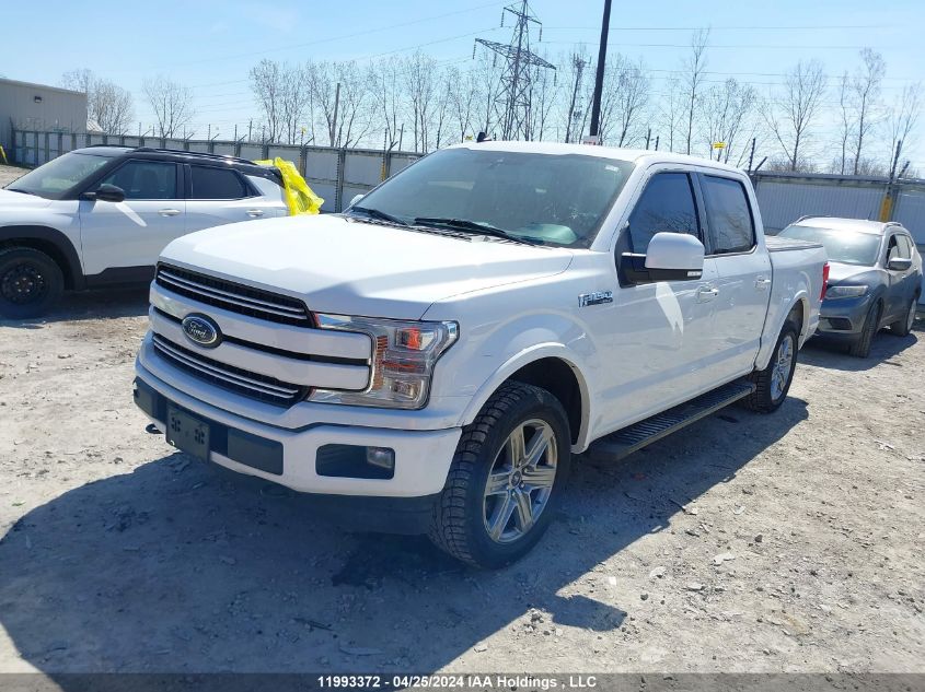 2019 Ford F-150 VIN: 1FTEW1EP3KFD47158 Lot: 11993372