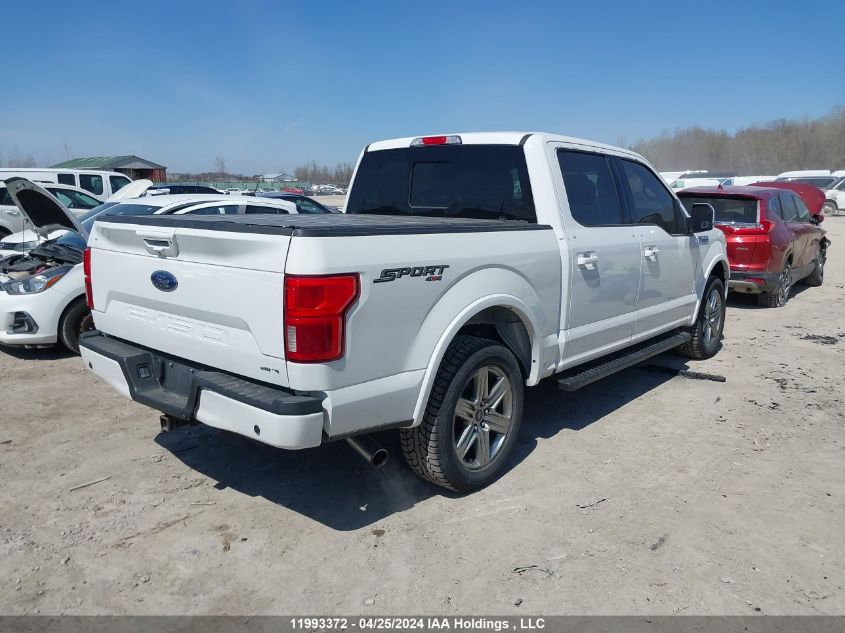 2019 Ford F-150 VIN: 1FTEW1EP3KFD47158 Lot: 11993372