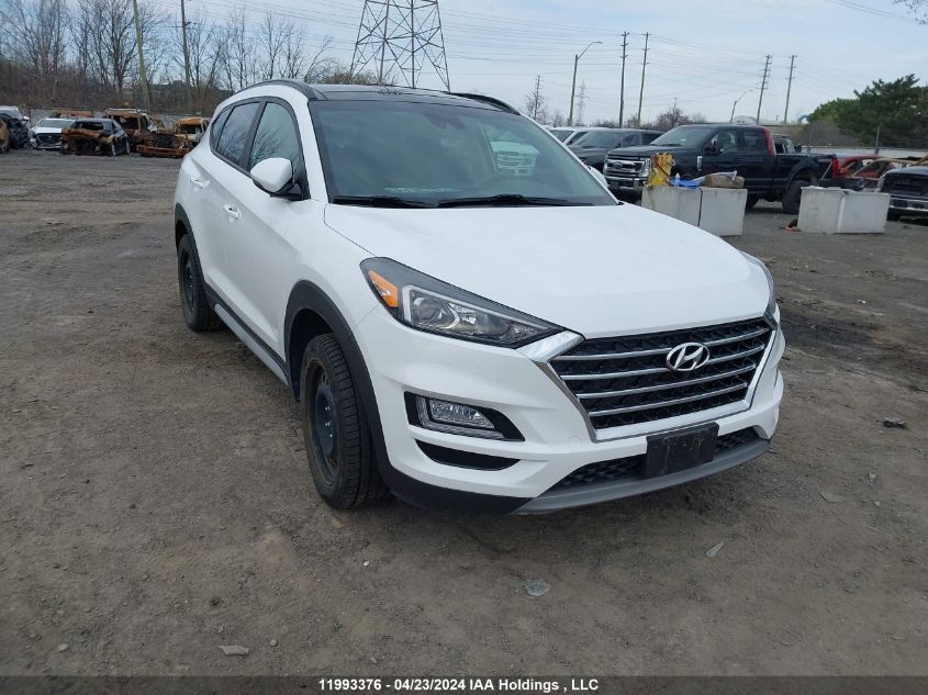 2020 Hyundai Tucson Luxury VIN: KM8J3CAL9LU145584 Lot: 11993376