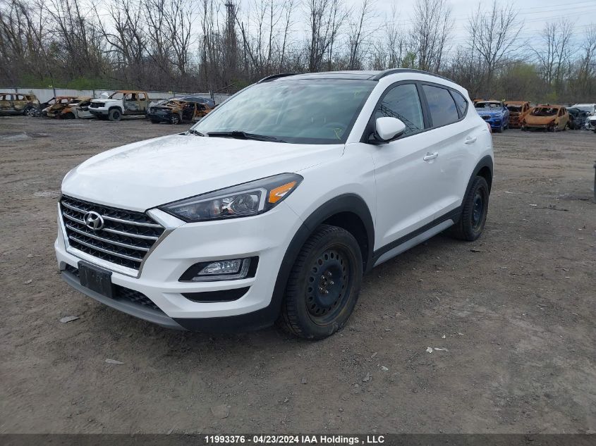 2020 Hyundai Tucson Luxury VIN: KM8J3CAL9LU145584 Lot: 11993376