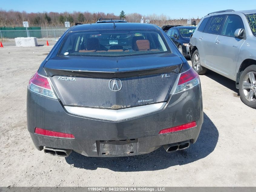 2009 Acura Tl VIN: 19UUA96509A801221 Lot: 11993471