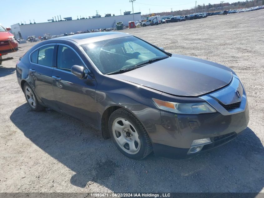 2009 Acura Tl VIN: 19UUA96509A801221 Lot: 11993471