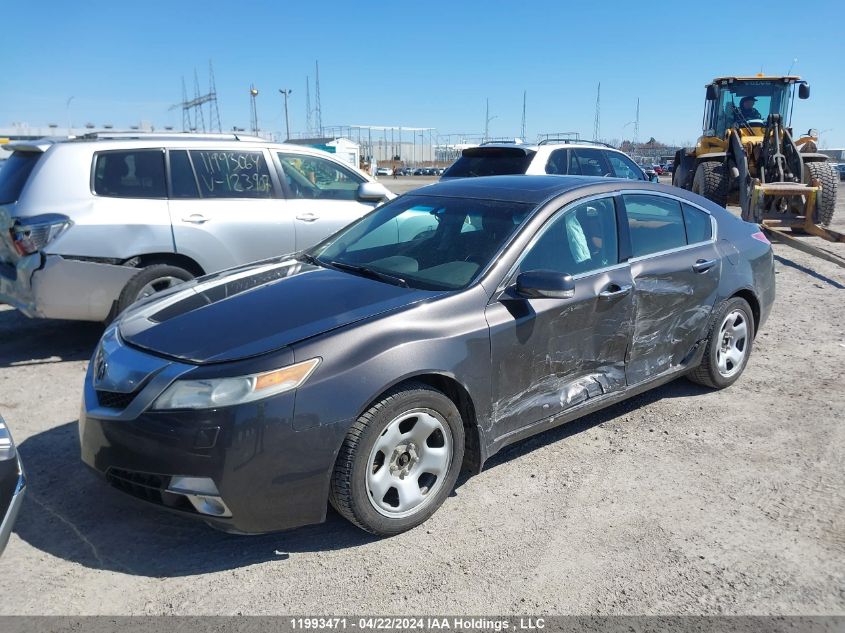 2009 Acura Tl VIN: 19UUA96509A801221 Lot: 11993471