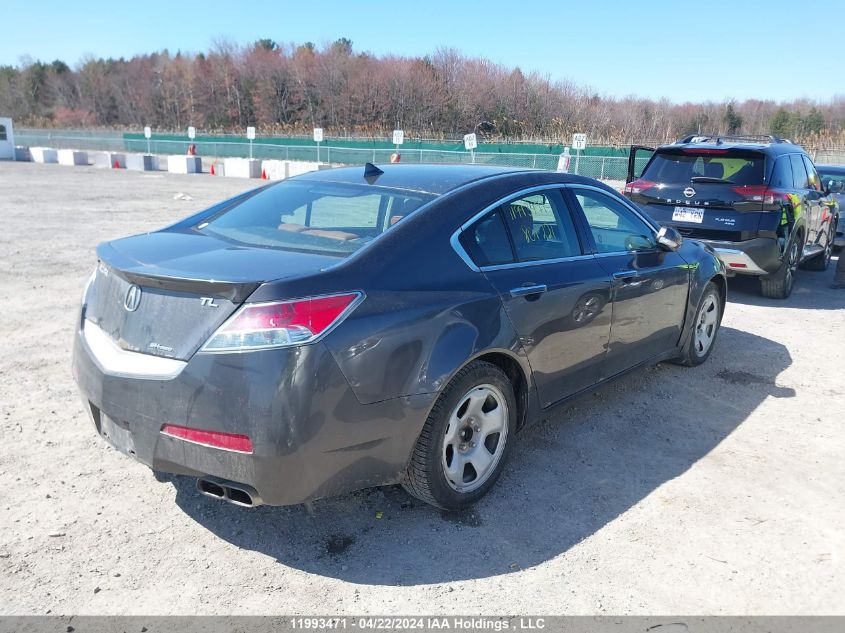 2009 Acura Tl VIN: 19UUA96509A801221 Lot: 11993471