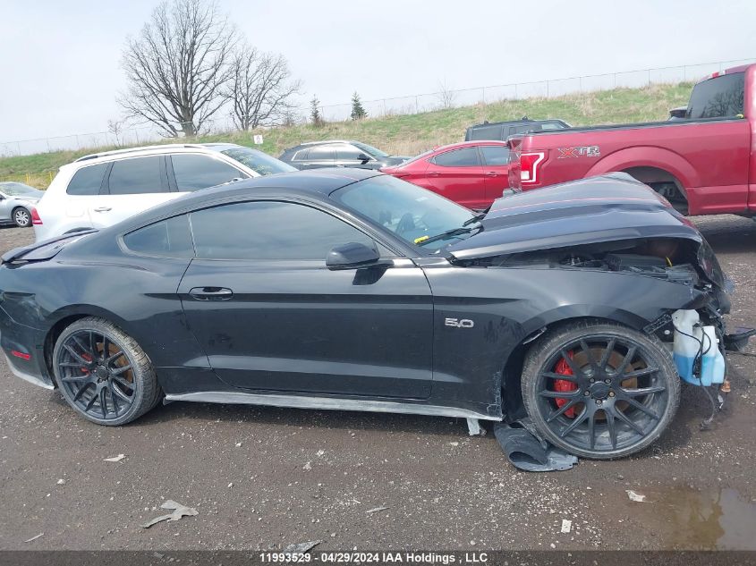 2017 Ford Mustang Gt Premium VIN: 1FA6P8CF5H5317975 Lot: 11993529