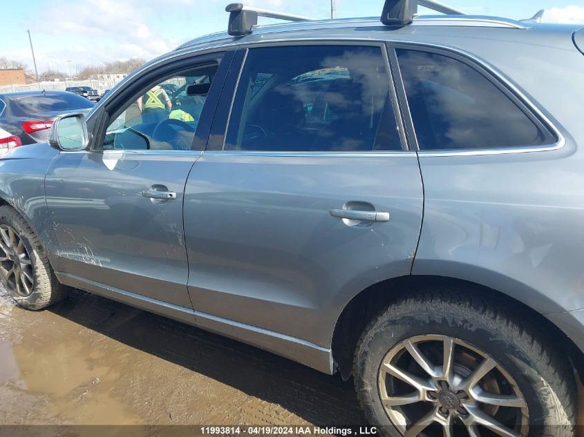 2010 Audi Q5 VIN: WA1LKCFP4AA076291 Lot: 11993814