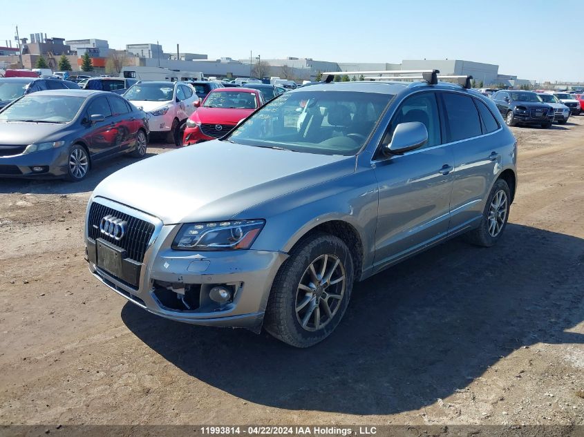 2010 Audi Q5 VIN: WA1LKCFP4AA076291 Lot: 11993814