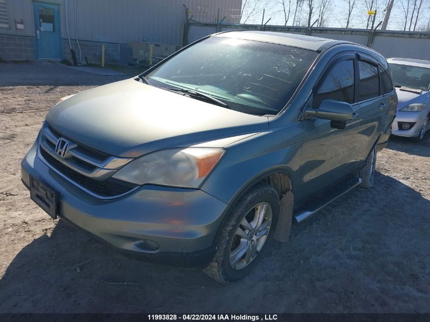 2010 Honda Cr-V VIN: 5J6RE4H74AL820397 Lot: 11993828