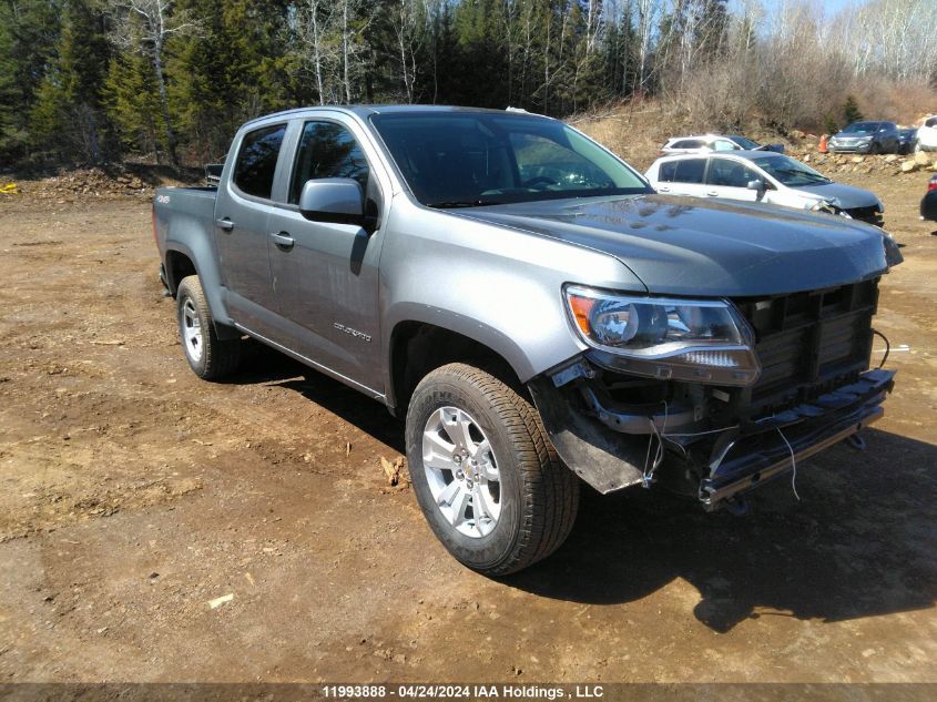 2022 Chevrolet Colorado VIN: 1GCGTCEN4N1319575 Lot: 11993888