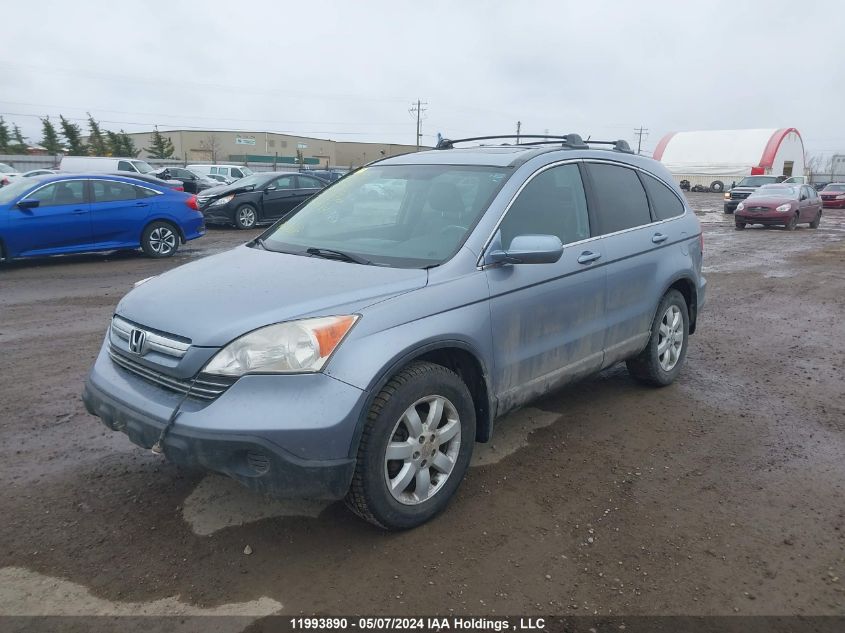 2007 Honda Cr-V VIN: 5J6RE48777L813081 Lot: 11993890