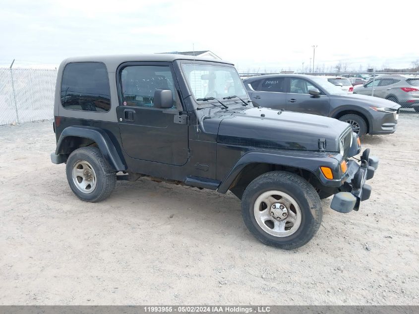 2003 Jeep Wrangler / Tj Sport VIN: 1J4FA49SX3P354875 Lot: 11993955