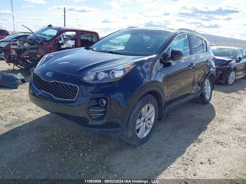 2018 Kia Sportage VIN: KNDPMCAC1J7403720 Lot: 11993959