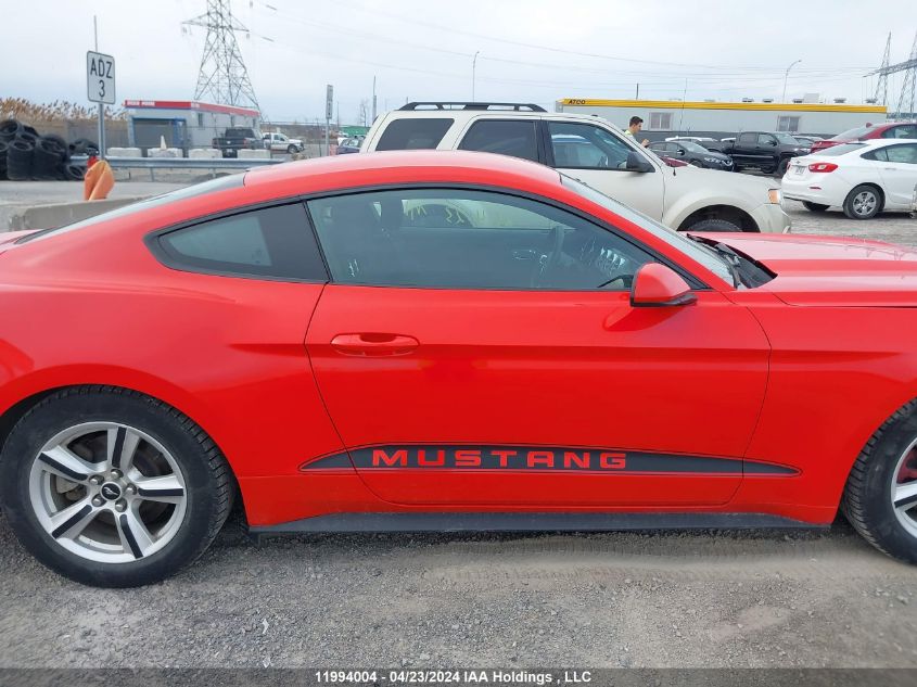 2017 Ford Mustang VIN: 1FA6P8AM2H5215972 Lot: 11994004