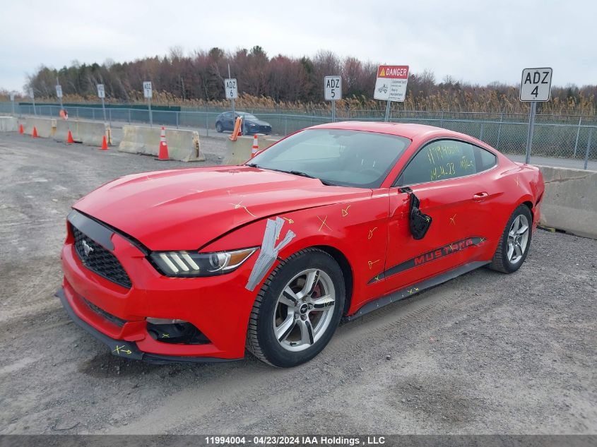 2017 Ford Mustang VIN: 1FA6P8AM2H5215972 Lot: 11994004