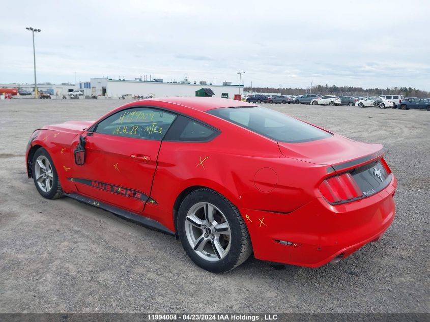 2017 Ford Mustang VIN: 1FA6P8AM2H5215972 Lot: 11994004