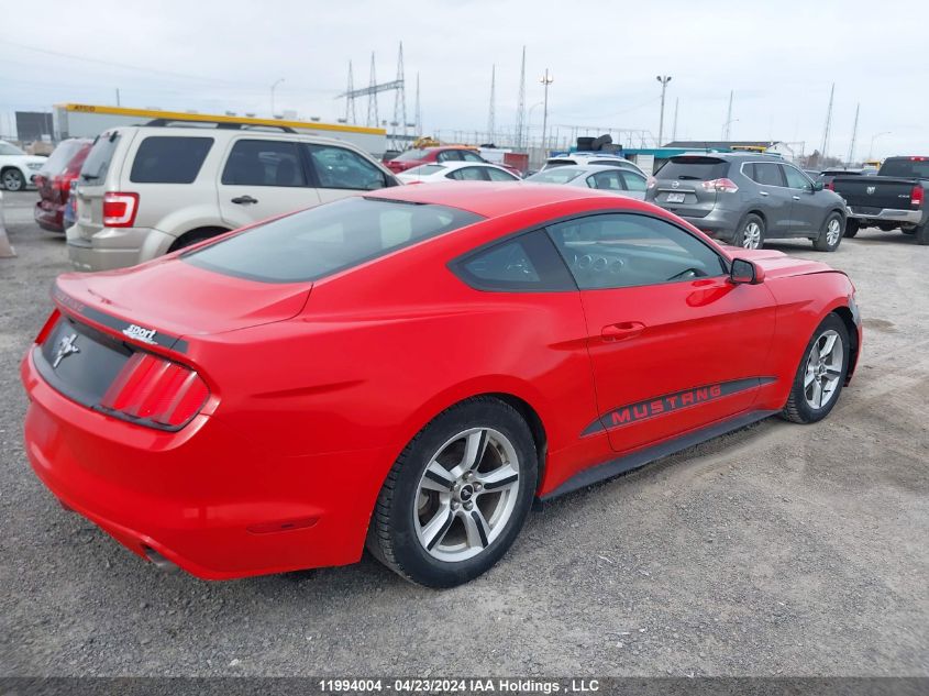 2017 Ford Mustang VIN: 1FA6P8AM2H5215972 Lot: 11994004