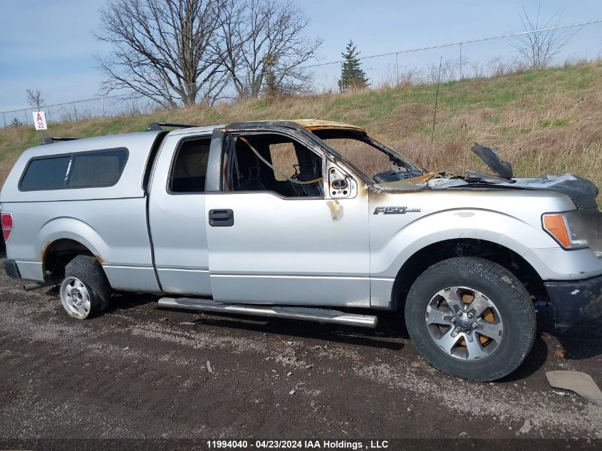 2012 Ford F-150 Stx VIN: 1FTEX1CM5CKE11313 Lot: 11994040