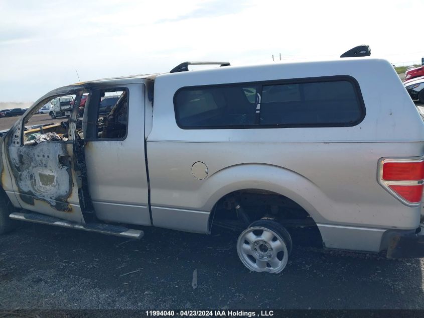 2012 Ford F-150 Stx VIN: 1FTEX1CM5CKE11313 Lot: 11994040