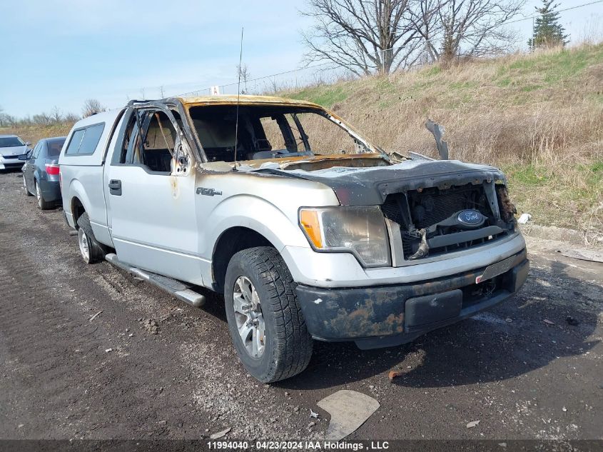 2012 Ford F-150 Stx VIN: 1FTEX1CM5CKE11313 Lot: 11994040