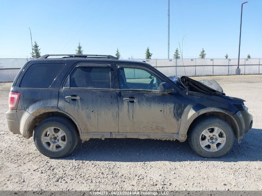 2010 Ford Escape Xlt VIN: 1FMCU0D79AKD29239 Lot: 11994273