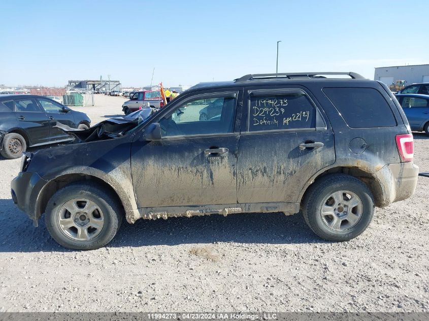 2010 Ford Escape Xlt VIN: 1FMCU0D79AKD29239 Lot: 11994273