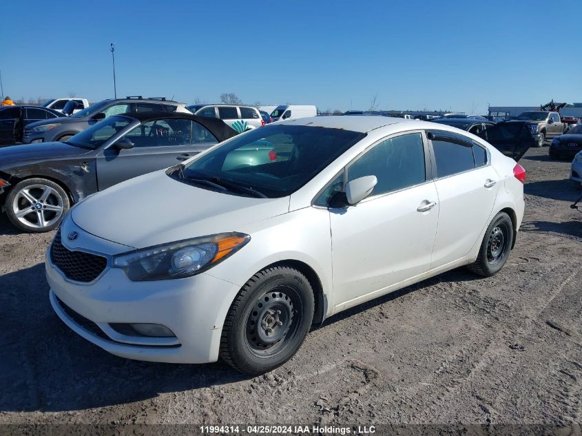 2014 Kia Forte Ex VIN: KNAFX4A84E5193293 Lot: 11994314