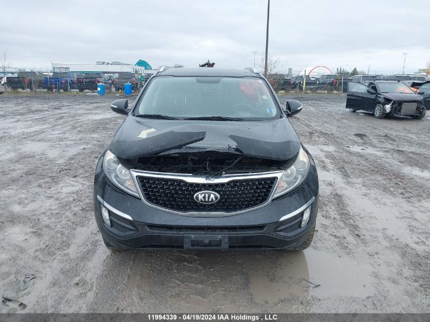 2016 Kia Sportage VIN: KNDPBCAC9G7804771 Lot: 11994339