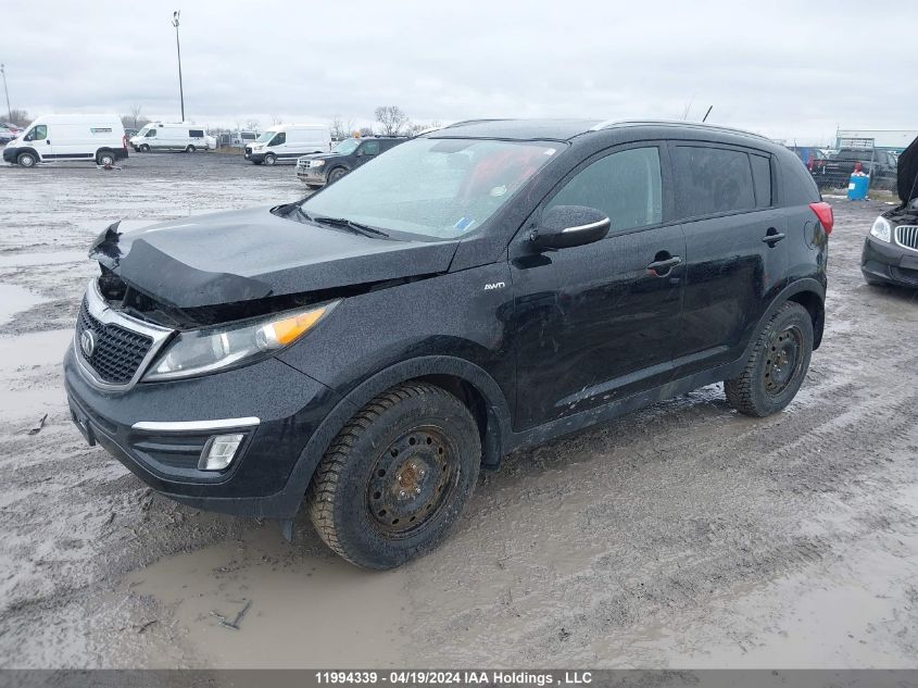 2016 Kia Sportage VIN: KNDPBCAC9G7804771 Lot: 11994339