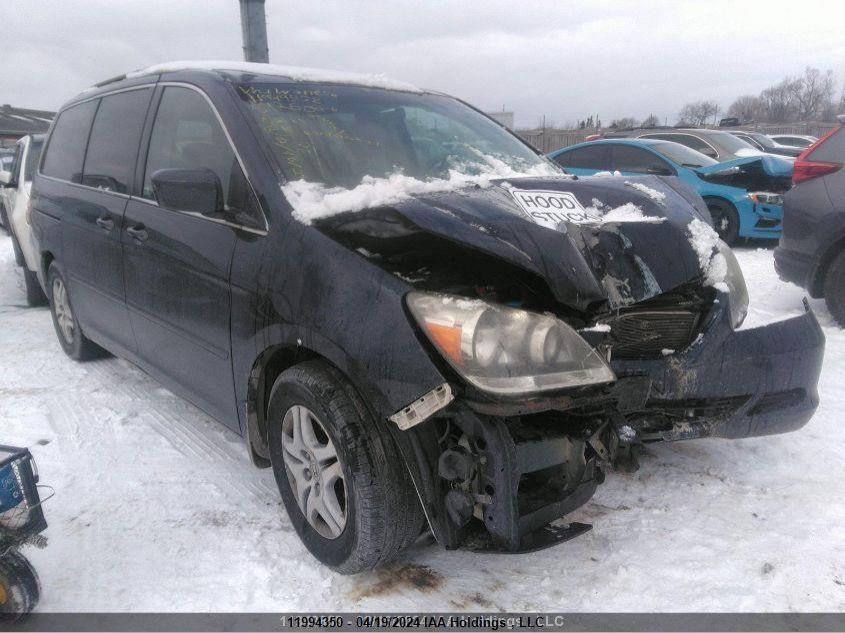 2007 Honda Odyssey VIN: 5FNRL38627B512606 Lot: 11994350