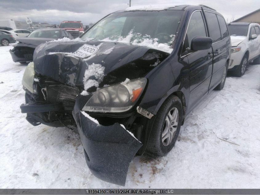 2007 Honda Odyssey VIN: 5FNRL38627B512606 Lot: 11994350