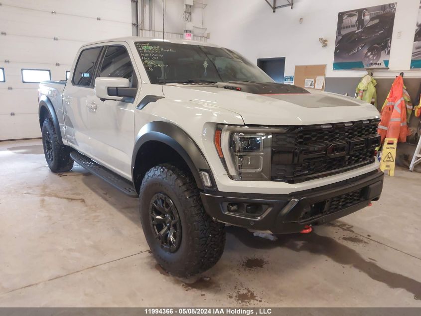 2023 Ford F150 Raptor VIN: 1FTFW1RJ2PFB35174 Lot: 11994366